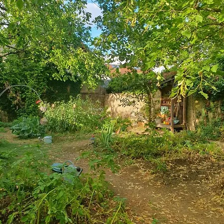 Le Clos Du Moulin , Charme Et Calme Proche Centre Historique, La Campagne A La Dijon