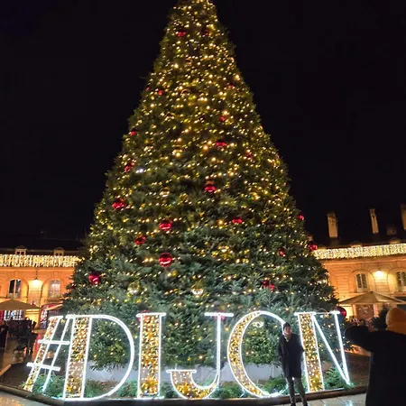 Frühstückspension Le Clos Du Moulin , Charme Et Calme Proche Centre Historique, La Campagne A La